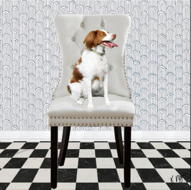 Dog relaxing on a white chair in an Art Deco style black and white room.
