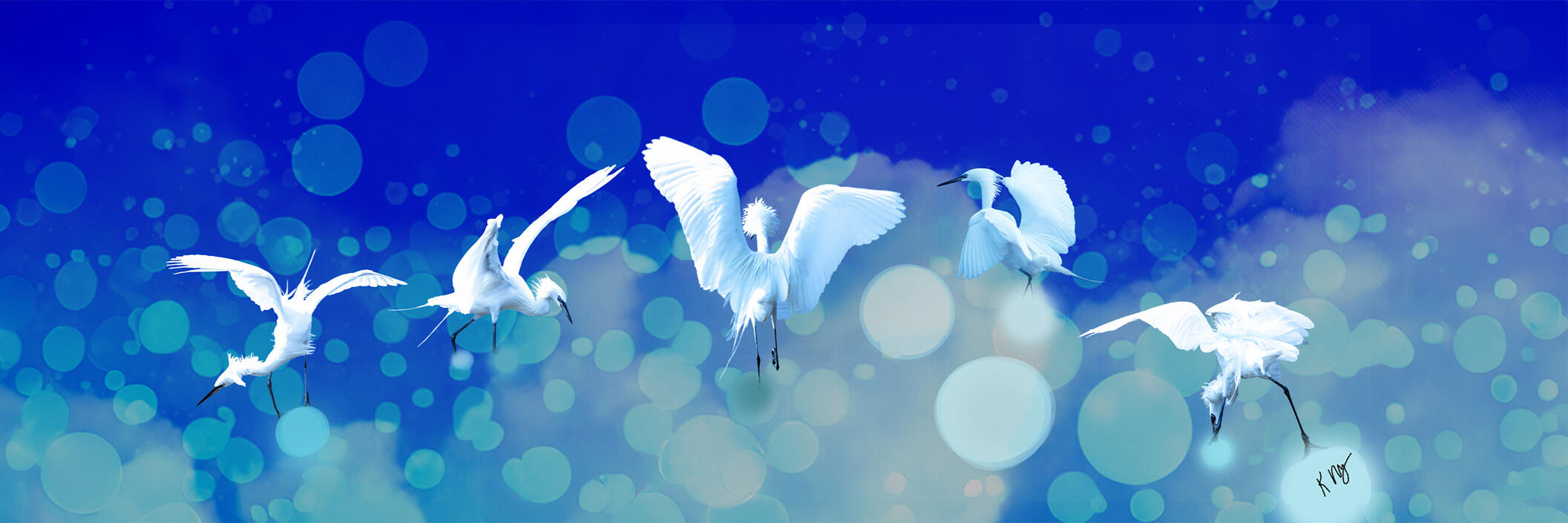 Birds Dancing in the Sky Composite photographic art of white morph reddish egrets dancing in a glowing blue sky with soft bokeh lighting and dreamlike atmospheric effects.