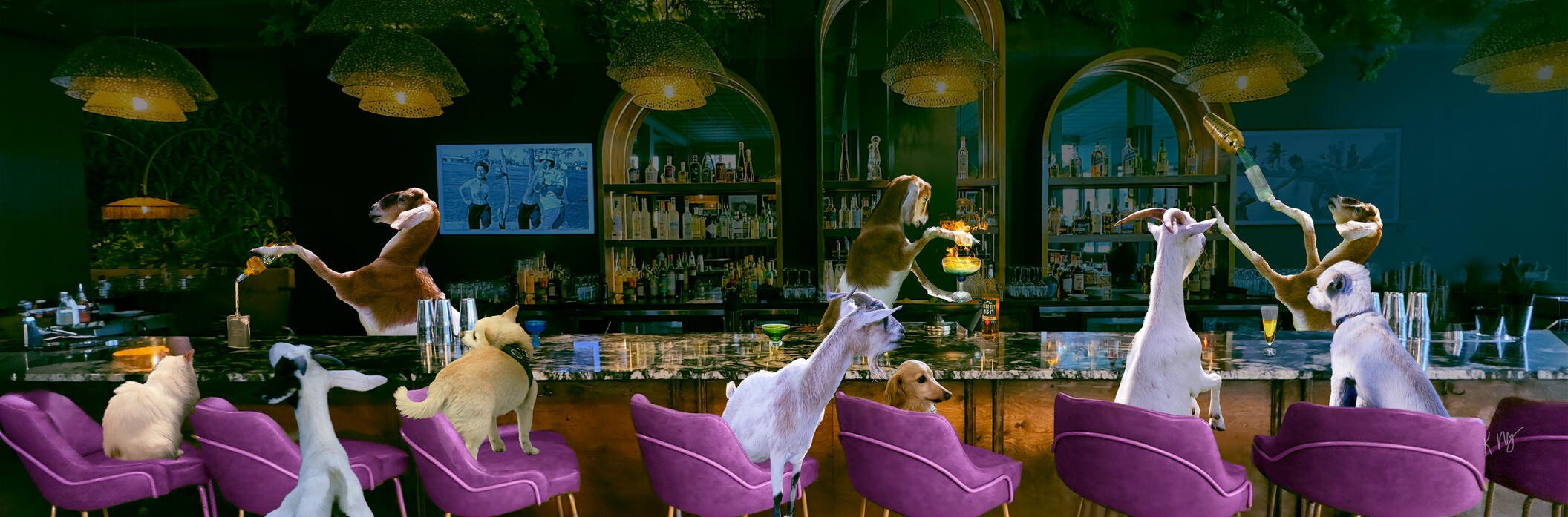 Bar Magenta Composite animal art featuring a goat bartenders, dog, cat and goat patrons, cocktails, and dramatic lounge lighting in a surreal photographic scene.