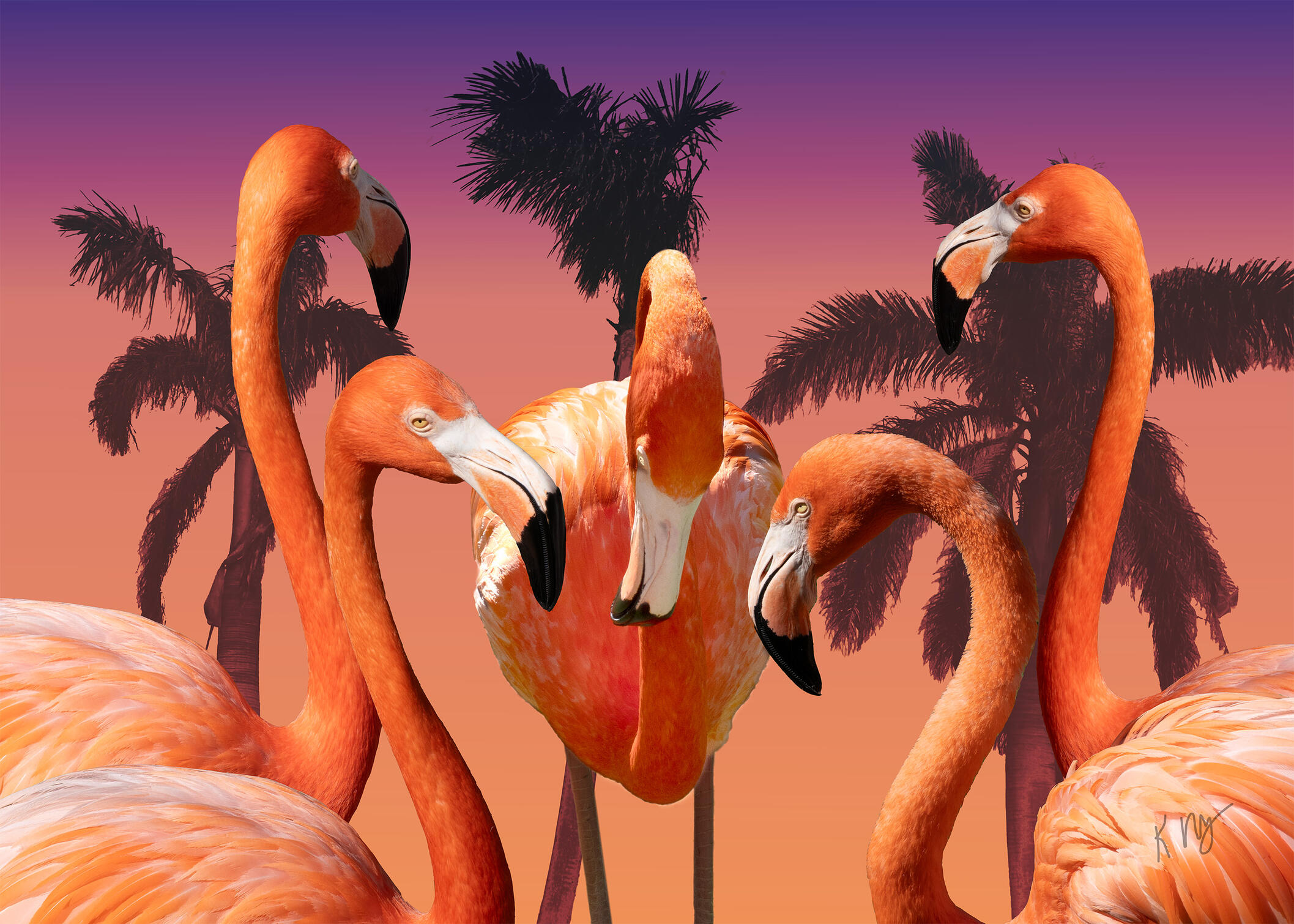 Flamingo Montage - Tequila Sunrise