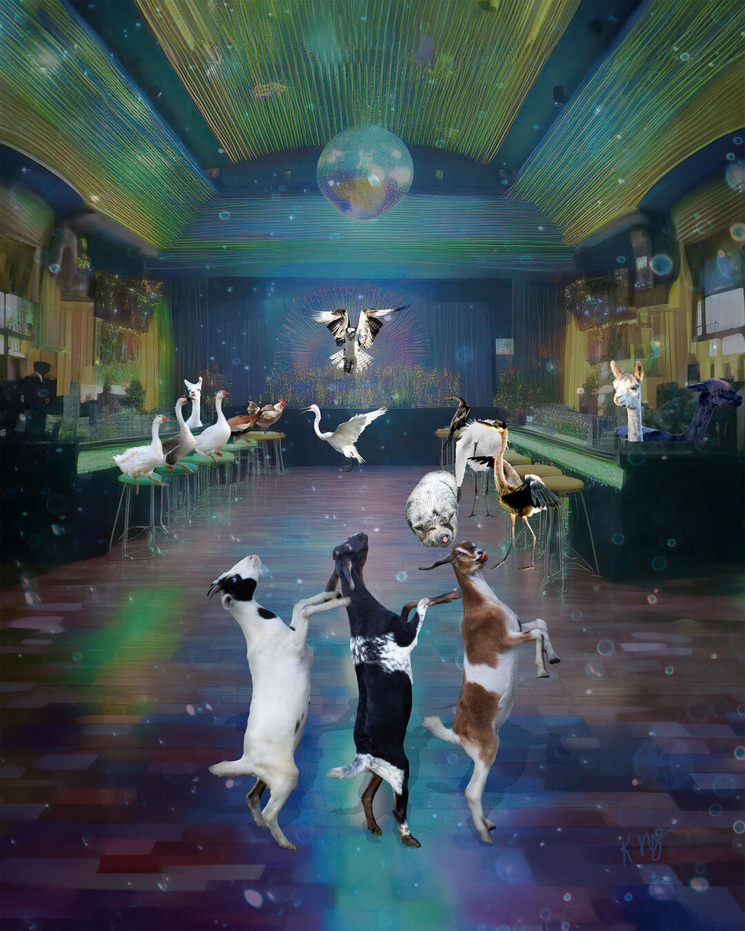 Disco Goat Conga