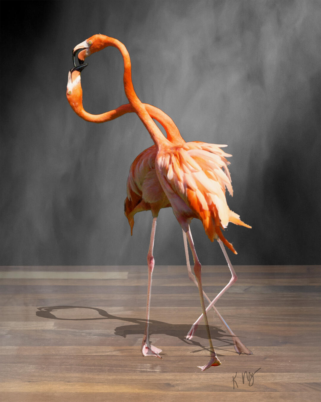 Flamingo Tango