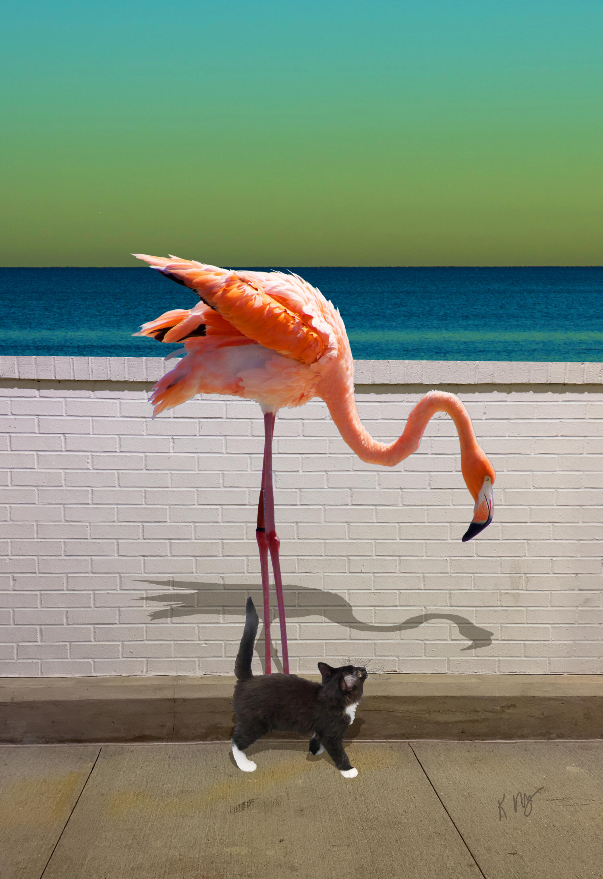 Unlikely Friends 1